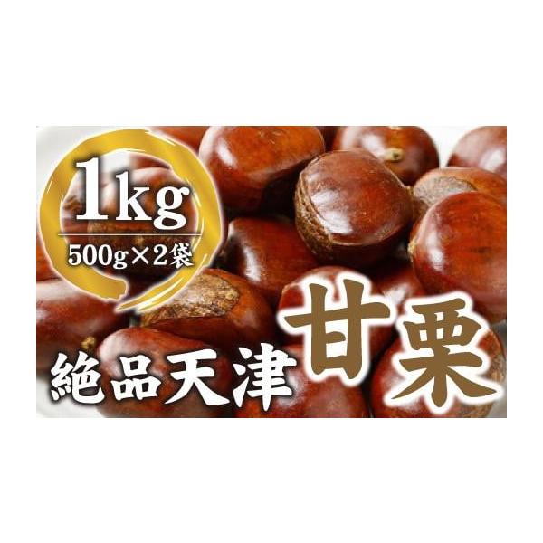 容量500g×2パック消費期限発送日より20日間発送期日3月以降のご注文は、10月下旬より順次発送配送常温 時間指定 別送事業者株式会社ウルプロ申込条件何度も申し込み可、オンライン決済限定