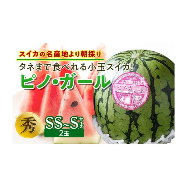 容量小玉スイカ　ピノ・ガール　秀　SS〜Sサイズ　2玉消費期限製造後 3日以内発送期日2026年7月中旬〜2026年8月中旬までに順次発送配送常温 時間指定 別送申込期日2026年7月20日まで事業者株式会社森からの恵み申込条件何度も申し込...
