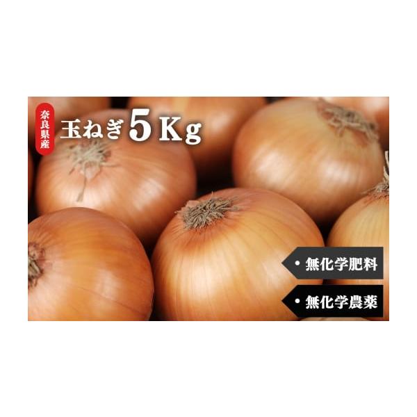 容量生命の農法（無化学農薬・無化学肥料栽培）玉ねぎ　5kg消費期限生ものですので、できる限りお早めにお召し上がり下さい。保存方法：冷暗所で保存してください。発送期日※6月中旬より順次発送予定配送常温 時間指定 別送申込期日2025／12／3...