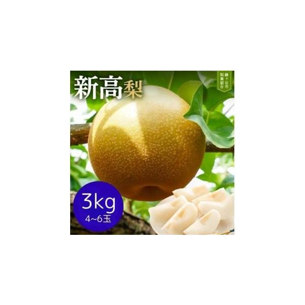 容量新高梨　3kg（4〜6玉）※天候不良などで玉数が変更になる場合もあります。※収穫できる梨のサイズによって、箱に収めた際に3kgに満たない場合があります。※表記重量はあくまで目安になりますので、ご了承ください。消費期限冷蔵で保管いただき、...