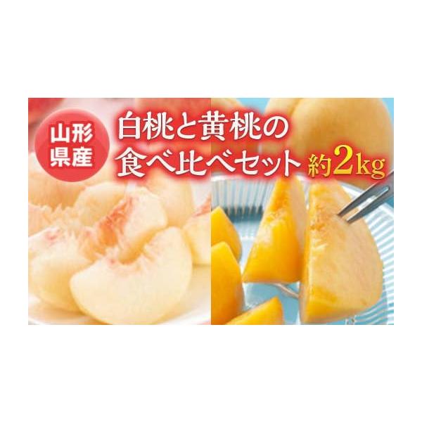 容量白桃 (3~5玉)黄桃 (3玉)消費期限約4日発送期日2026年8月上旬頃〜9月中旬頃配送冷蔵 時間指定 別送申込期日2026年8月30日まで事業者株式会社エナジーファーム申込条件何度も申し込み可、オンライン決済限定