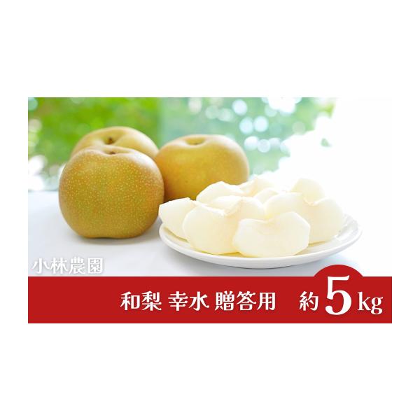 容量幸水 約5kg(9~16個)※生育状況により、個数が前後する場合がございます。消費期限発送日より1週間程度発送期日8月中旬~9月上旬頃※天候や生育状況により、発送開始・終了時期が前後する場合がございます。※お申込み順に発送いたしますので...