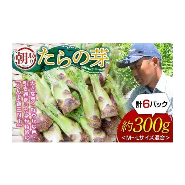 容量たらの芽 50g以上（約5〜10本）×6パック※M〜Lサイズの混合、計300gの発送となります。消費期限製造・加工後 7日以内発送期日2026年1月上旬〜4月中旬まで配送冷蔵 別送申込期日2026年3月31日まで事業者清水勝申込条件何度...