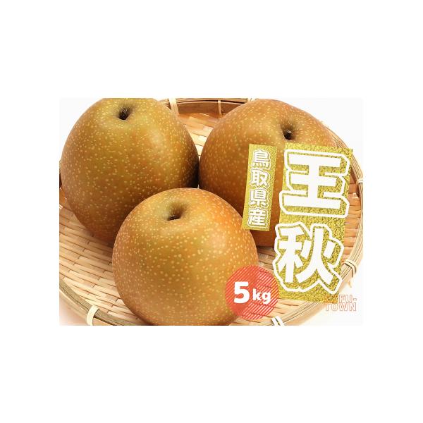 容量王秋梨 約5キロ（5〜16玉前後）発送期日10月下旬〜12月頃配送常温 時間指定 別送申込期日9月末日　※予定数に達し次第受付終了事業者高間商店申込条件何度も申し込み可