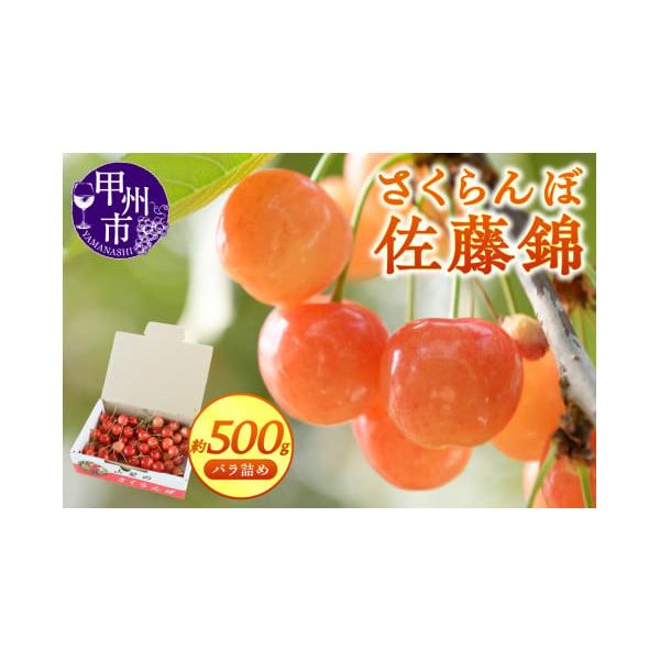容量さくらんぼ 約500g（佐藤錦）化粧箱バラ詰め消費期限到着次第、お早めにお召し上がりください。発送期日2026年5月下旬〜6月下旬頃、順次発送予定※天候や収穫状況により出荷に変動がございます。（※沖縄・離島へのお届けはできかねております...