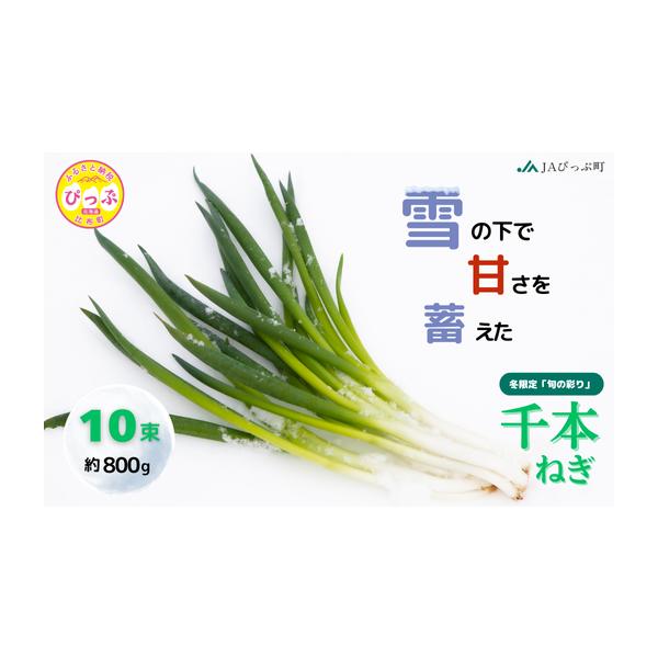 容量比布町産ねぎ　80g×10束　約800g消費期限発送日から5日以内発送期日決済から1ヶ月程度で発送配送冷蔵 別送申込期日2026年2月22日まで事業者JAぴっぷ町申込条件何度も申し込み可
