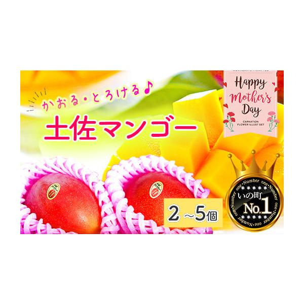 容量土佐マンゴー　2個〜5個※サイズにより個数が変動します。中身のサイズがそれぞれ異なる場合などがあります。消費期限お届けから常温3日ほどまたは冷蔵保存5日ほど発送期日2026年5月9日（土）または、10日（日）にお届けいたします。配送常温...