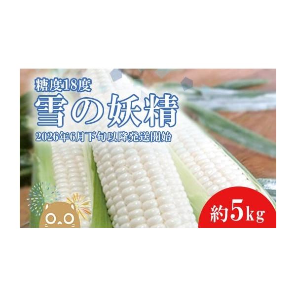容量境町産白いとうもろこし「雪の妖精」約5kg消費期限生鮮食品のため早めにお召上がりください。発送期日★★ご注意★★・こちらの返礼品は、収穫後2026年6月下旬以降の発送となります。予めご了承ください。※天候の影響で、お届けが前後する場合が...
