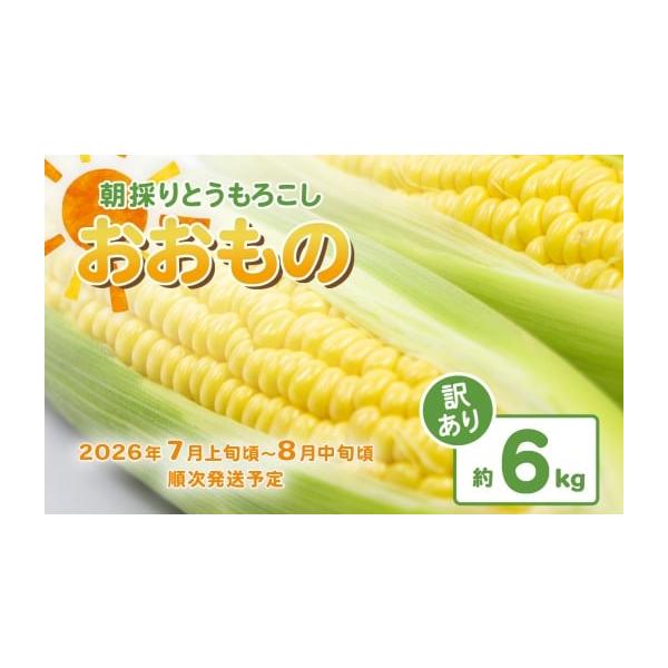 容量とうもろこし（おおもの）約6kg以下の理由から「訳あり（フードロス対策）品」となります。※とうもろこしのサイズは大小混在となります。※虫食いや子持ち、変形などがある、はね出し品となります。消費期限到着後、お早めにお召し上がりください発送...
