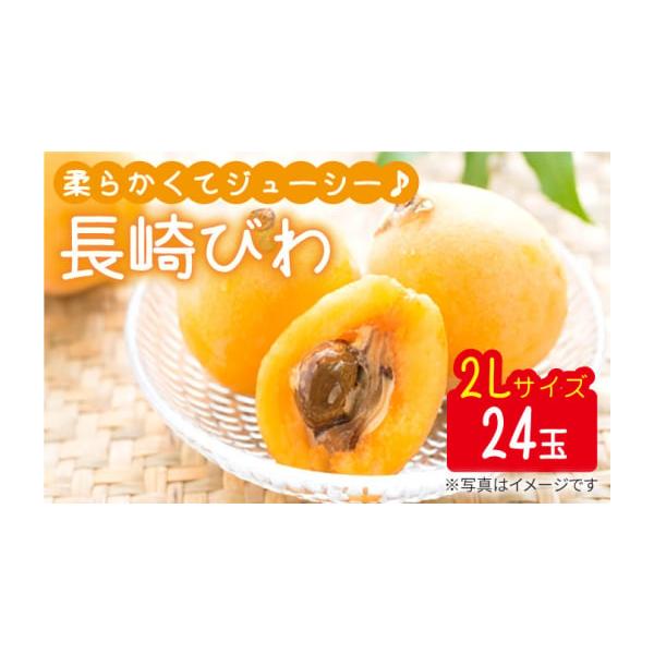 容量びわ 2Lサイズ24玉（約1kg〜1.5kg）消費期限【賞味期限】お早めに（1週間以内）お召し上がりください。※お召し上がりの1、2時間前に冷蔵庫で冷やしていただくと美味しくお召し上がりいただけます。発送期日5月7日〜5月中旬の間に発送...