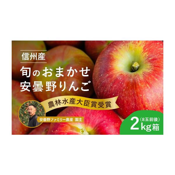 ふるさと納税 りんご 長野県 安曇野市 おまかせ旬のりんご　 期間限定 ８月頃〜発送開始