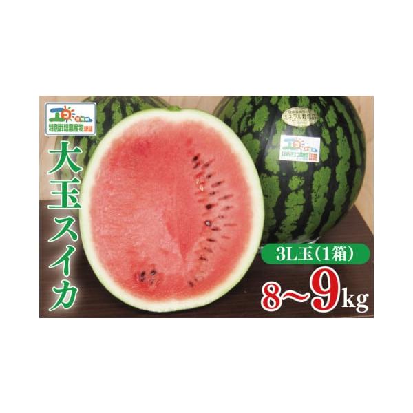 容量茨城県産大玉スイカ　3Lサイズ（8〜9kg）消費期限発送到着から1週間程度※食べごろを見計らって発送いたしますので、到着後はなるべく早めに召し上がってください。発送期日2026年6月上旬〜7月下旬頃にお届け※上記期間以外での配送は致しか...