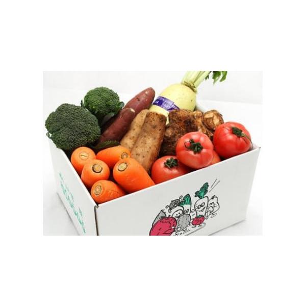 容量季節の新鮮野菜　８０サイズ段ボール　季節によって内容は変わります。消費期限生ものです。お早目にお召し上がりください。発送期日ご寄付納入確認後1ヶ月程度でお送りいたします。配送冷蔵 時間指定 別送申込期日通年事業者常陸農業協同組合申込条件...