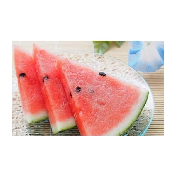 容量秀　5kg以上×2玉（合計10kg以上）※天候等により発送時期を変更する場合があります。発送期日5月下旬〜8月中旬頃に順次発送予定配送常温 別送申込期日〜2026年7月15日事業者高間商店申込条件何度も申し込み可