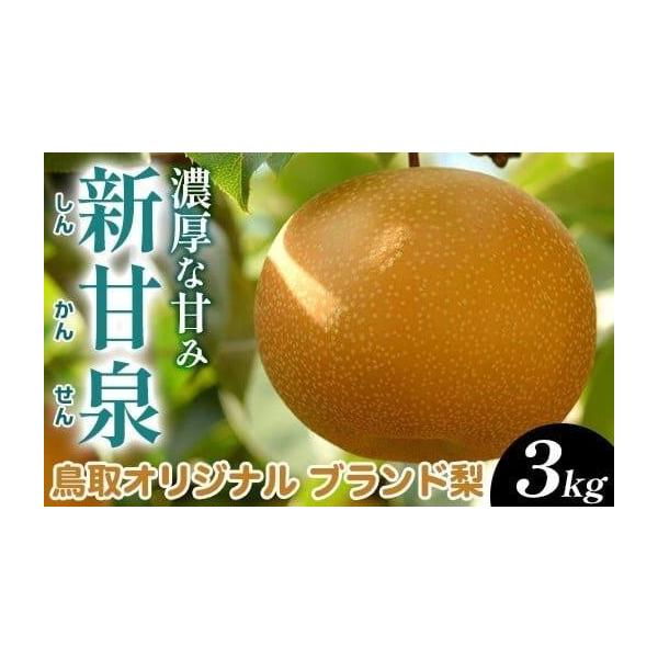 容量3kg前後（3〜12玉前後）※天候等により発送時期を変更する場合があります。シリーズ名：新甘泉総重量：3kg産地（都道府県）：鳥取消費期限なるべくお早めにお召し上がりください。発送期日2026年8月下旬〜9月下旬頃に順次発送予定配送常温...