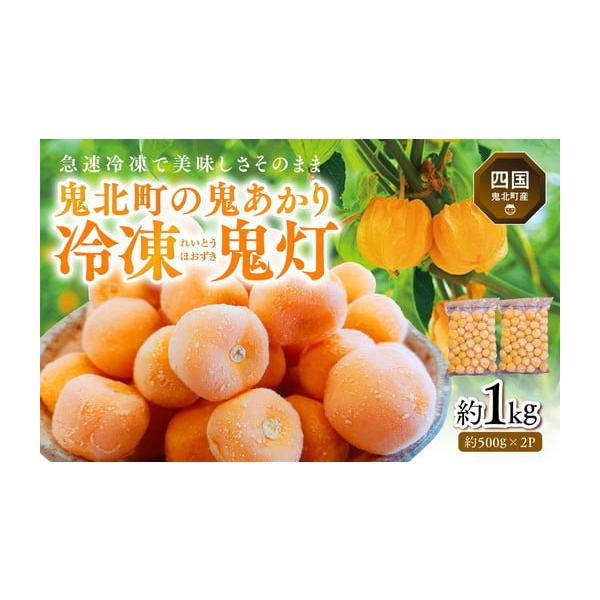 りきお ふるさと納税 果物類 愛媛県 鬼北町 冷凍鬼あかり（ほおずき）500g×2