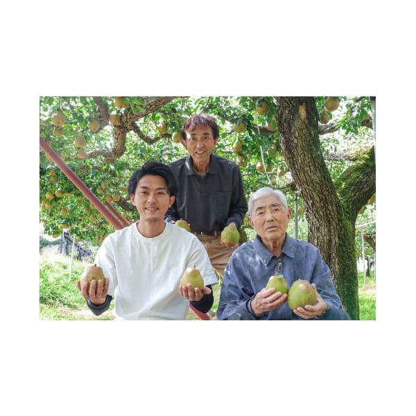 容量ラ・フランス　３ｋｇ７玉〜１０玉　５Ｌ〜２Ｌ　ご家庭用　※玉数・サイズの指定はできません。※天候により出荷時期や規格（数、サイズ、品種等）を変更する場合がございます。発送期日２０２５年１１月上旬〜２０２６年１月上旬迄配送常温 別送申込期...