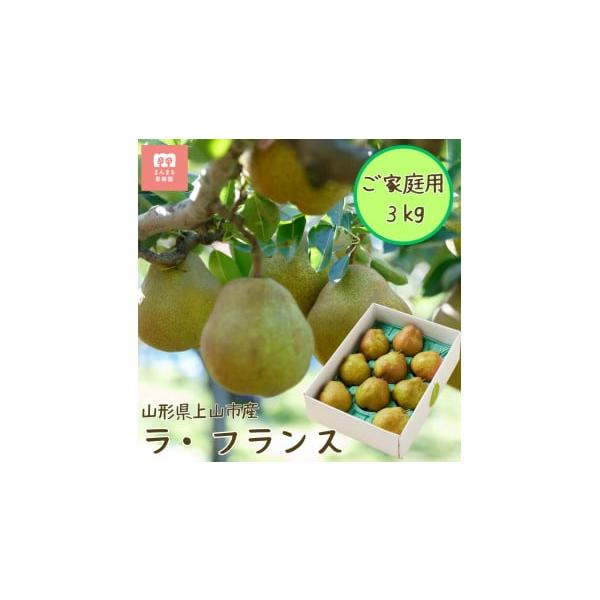 容量ラ・フランス　３ｋｇ　６玉〜１２玉６Ｌ〜２Ｌ　ご家庭用※家庭用のため、果実に多少の傷や形が不揃いなものがあります。※玉数・サイズの指定はできません。※天候により出荷時期や規格（数、サイズ、品種等）を変更する場合がございます。発送期日２０...