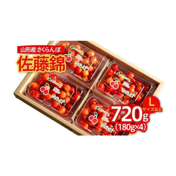 容量【令和8年産】佐藤錦 Lサイズ以上 720g (180g×4パック）発送期日2026年06月01日頃〜2026年06月30日頃※状況により配送時期が前後する場合がございます。(着日指定不可)配送冷蔵 時間指定 別送申込期日2026年06...