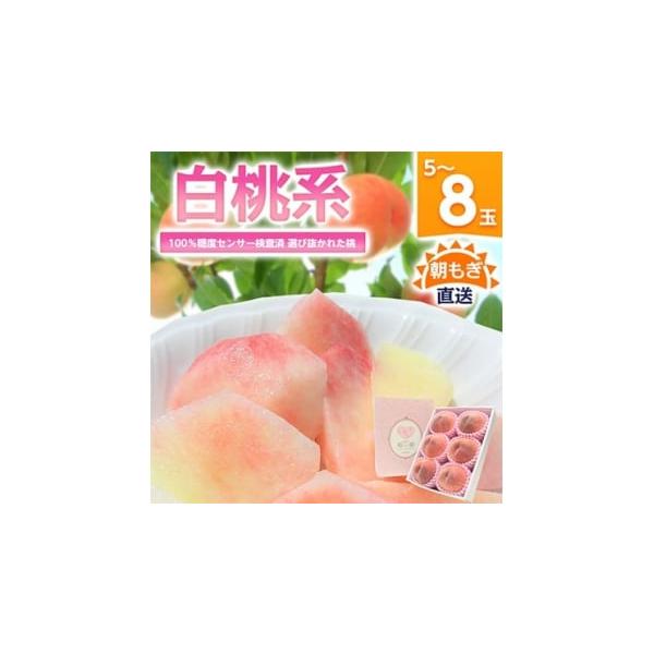 容量■お礼品の内容について・朝もぎ直送『白桃系』[約2kg(5〜8玉)]原産地:山梨県山梨市賞味期限:出荷日+5日■原材料・成分桃【白桃系】※品種指定不可■保存方法・冷蔵便の場合、到着次第すぐに冷蔵庫に入れて保存をし、美味しくお召し上がりく...