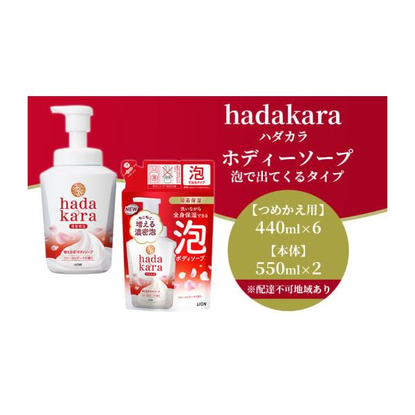 ふるさと納税 石鹸 液体せっけん 兵庫県 小野市 hadakara ( ハダカラ