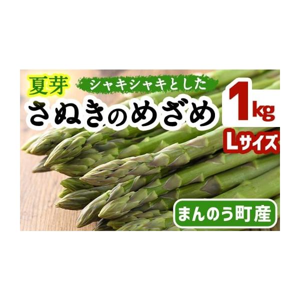 容量約1kg(Lサイズ以上)消費期限【賞味期限】長期保管は避け、お受け取り後はお早めにお召し上がりください。発送期日2026年6月上旬以降順次発送予定※生育状況により出荷が前後する場合がございます。※発送までに時間がかかる場合がございます。...