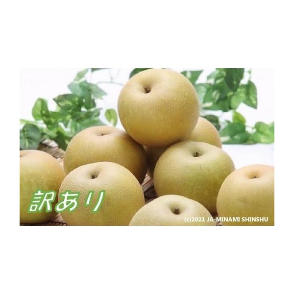 容量＜2026年8月中旬〜9月上旬配送先行予約品＞内容量：8〜16玉（5キロ箱にこの玉数が入ります）※大きさで玉数は異なります。※写真はイメージです。発送期日2026年8月中旬〜9月上旬発送予定※その年の気候により配送時期に変動がある可能性...
