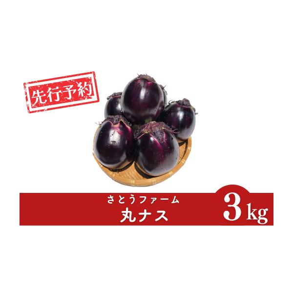容量約3kg(8~10個)※生育状況により、個数が前後する場合がございます。消費期限出荷から10日程度発送期日5月下旬〜6月上旬頃※天候や生育状況により、発送開始・終了時期が前後する場合がございます。※お申込み順に発送いたしますので、配達日...