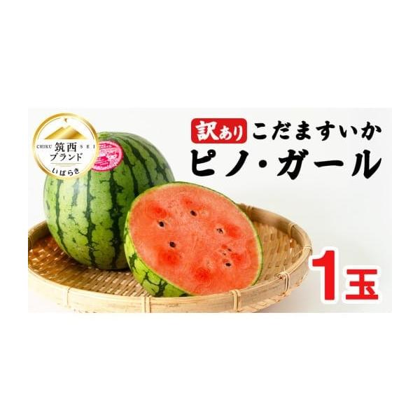 容量※1玉重量約1.5kg消費期限到着後1週間程度発送期日5月中旬〜6月下旬※天候や生育状況により時期が前後する場合がございます配送常温 別送申込期日2026年6月7日まで事業者協和園芸開発株式会社申込条件何度も申し込み可、オンライン決済限定