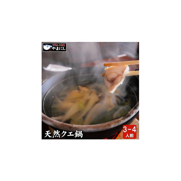 ふるさと納税 海鮮鍋 山口県 下関市  7営業日以内発送 天然クエ鍋セット３〜４人前(450g) 天然くえ 高級魚 アラ 魚 新鮮 下処理 クエ 希少 鍋 海鮮鍋 くえ鍋 …
