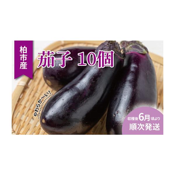 容量柏市産やわらか茄子　10個※サイズ指定は出来ません。消費期限到着後はお早めにお召し上がりください。発送期日ご寄附納入の確認後、収穫後2026年6月頃から順次発送いたします。※天候によっては発送が遅れる場合がございます。配送冷蔵 時間指定...