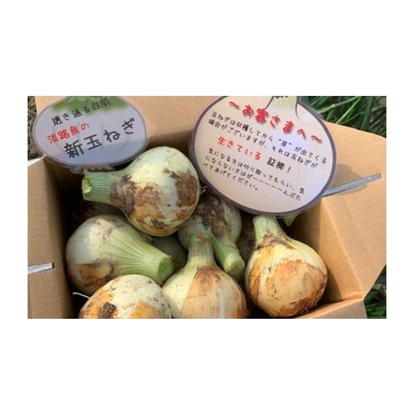 容量新玉ねぎ約2kg消費期限風通しの良い冷暗所で約2週間※新玉ねぎは水分量が多いので出来るだけお早めにお召し上がりください。※消費期限経過後に傷み等のご連絡をいただいた場合、返品・交換はご対応いたしかねます。発送期日２月下旬〜６月末頃にかけ...