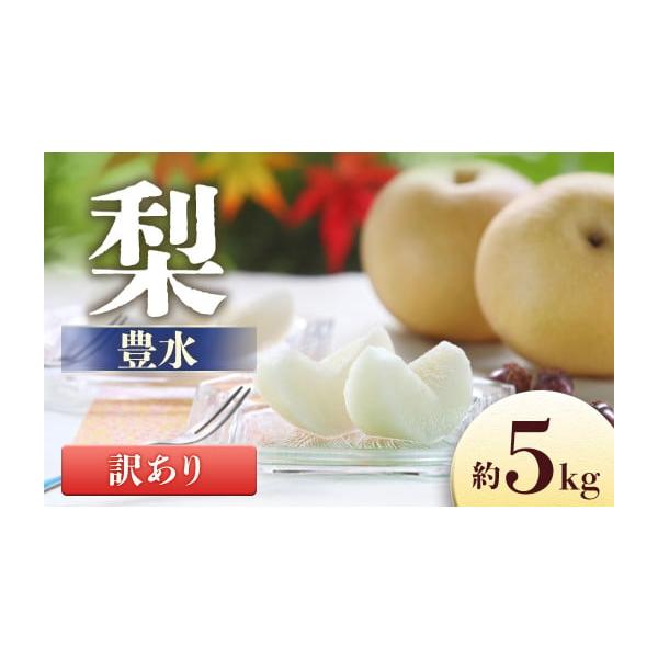 容量＜2026年9月発送予定＞内容量：10〜16玉（5キロ箱にこの玉数が入ります）※大きさで玉数は異なります。※写真はイメージです。発送期日2026年9月発送予定※その年の気候により配送時期に変動がある可能性がございます。配送常温 時間指定...