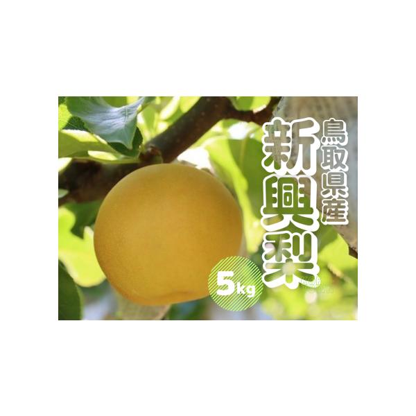 容量5キロ消費期限常温７日前後発送期日１０月上旬〜中旬頃発送（天候や育成状況等により前後することがあります）発送の際の事前連絡（TEL・メール等）は行っていません。あらかじめご了承のうえお申し込みください。配送常温 時間指定 別送申込期日数...