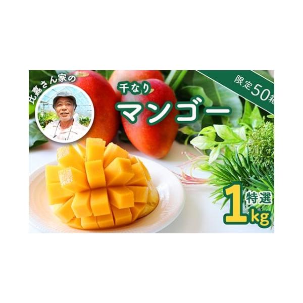 容量今帰仁産アップルマンゴー特選1kg（2〜3玉）玉数は指定できません。特選（果皮の赤み7割以上）（贈答用）消費期限★★品質保証期間★★お届け日を含む2日間食べごろのマンゴーをお届けします。冷蔵保存の上、できるだけお早めにお召し上がりくださ...