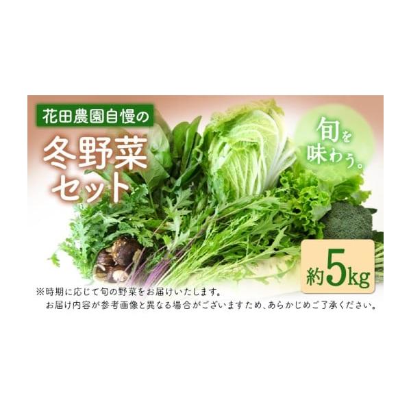 容量約5kg白菜、大根（2種）、里芋、大葉春菊、キャベツ、水菜、リーフレタス、ブロッコリー、ロマネスコ等から詰め合わせて送ります。※時期に応じて旬の野菜をお届けいたします。※寄附者様によるお届け商品のご要望には添いかねます。※お届け内容が参...