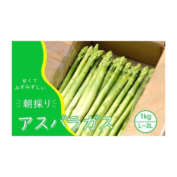 容量アスパラガス　1kg（L、2Lサイズ混）消費期限冷蔵発送から3日発送期日2026年10月末まで配送冷蔵 別送申込期日2026年9月30日まで事業者永利農園株式会社申込条件何度も申し込み可