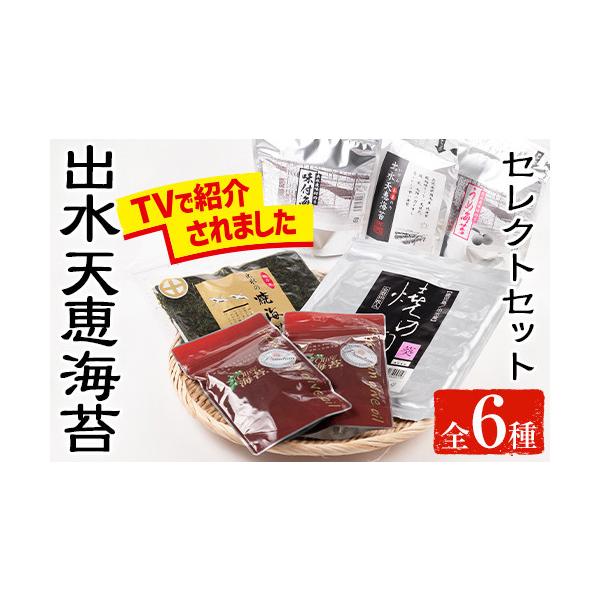 ふるさと納税 乾物 のり 鹿児島県 出水市 i613 出水天恵海苔セレクト