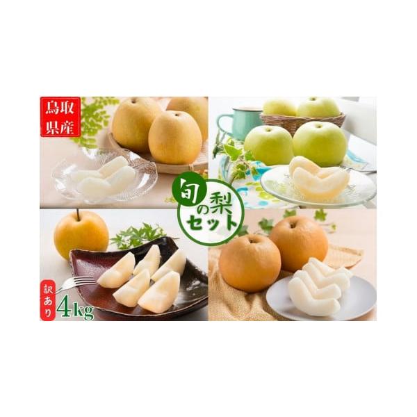 容量〔容量〕4〜16玉前後 4kg消費期限到着後お早めに召し上がりください。目安として、常温保存で発送日から４日以内、冷蔵保存で１週間以内にお召し上がりください。発送期日2025年8月下旬から2026年2月下旬配送常温 時間指定 別送申込期...