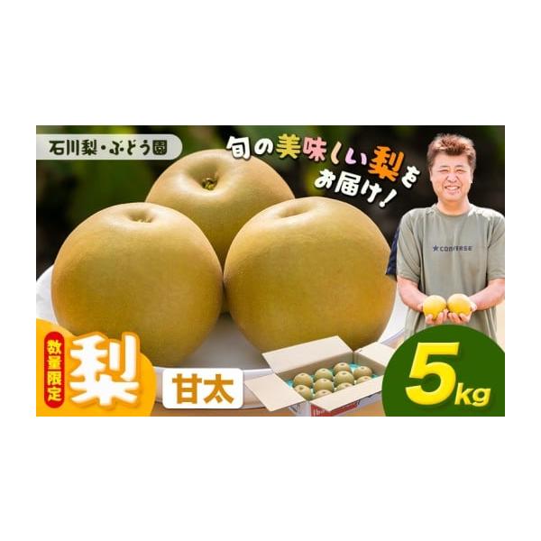 容量甘太 1箱約5kg消費期限生ものですのでお早めにお召し上がりください。発送期日9月下旬-10月上旬頃出荷配送常温 別送申込期日2025年9月中旬頃まで事業者石川 梨・ぶどう園申込条件何度も申し込み可