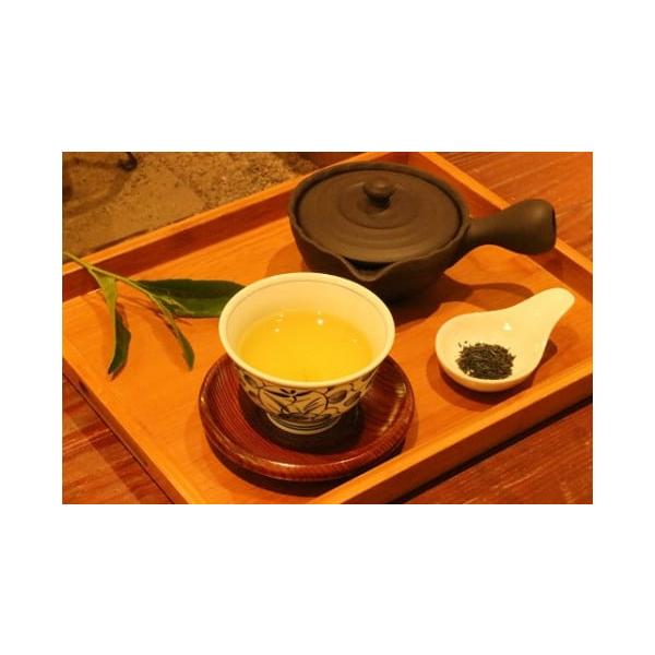 ふるさと納税 愛媛県 四国中央市 「霧の森」よくばりセット 世界一のお茶コース