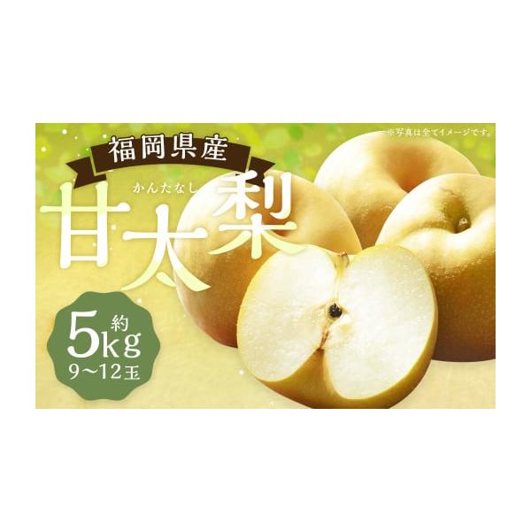 容量9〜12玉 約5kg※玉数はご指定出来かねます。※箱、風袋含まない消費期限賞味期限：出荷日から10日程度発送期日2026年9月上旬から9月下旬順次配送予定配送冷蔵 別送申込期日2026年9月15日まで寄附受付事業者JAふくおか八女農産物...