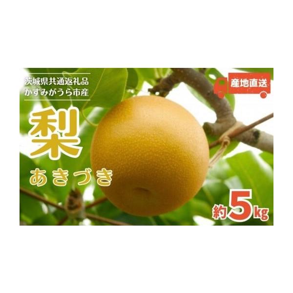 容量約5kg（8〜12玉）消費期限生ものなのでお早めにお召し上がりください。発送期日寄附納入確認後、2026年9月に発送します。※生産の都合で前後する場合があります。配送常温 時間指定 別送申込期日オンライン決済以外は2026年8月25日ま...