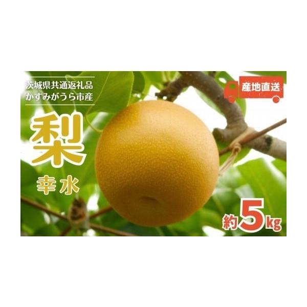 容量約5kg（12〜16玉）消費期限生ものなのでお早めにお召し上がりください。発送期日寄附納入確認後、2026年8月に発送します。※生産の都合で前後する場合があります。配送常温 時間指定 別送申込期日オンライン決済以外は2026年7月21日...