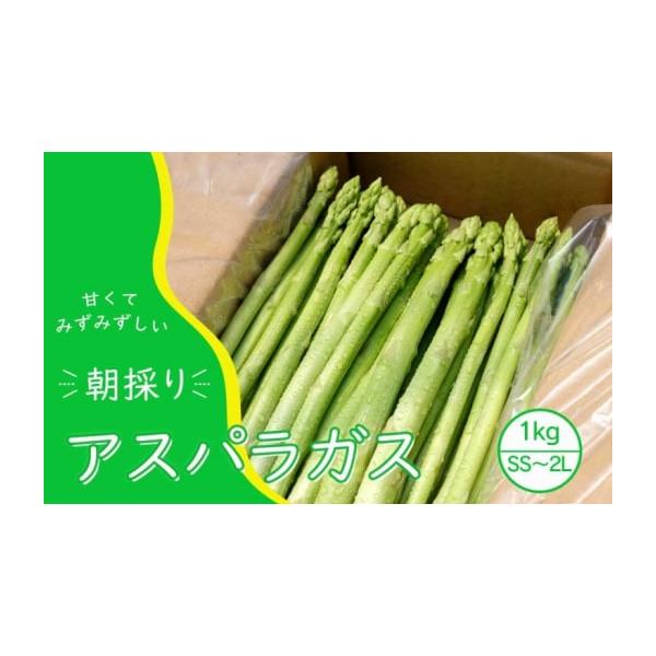 容量アスパラガス　1kg（SS、S、M、L、2Lサイズ混）消費期限冷蔵発送から3日発送期日2026年10月末まで配送冷蔵 別送申込期日2026年9月30日まで事業者永利農園株式会社申込条件何度も申し込み可