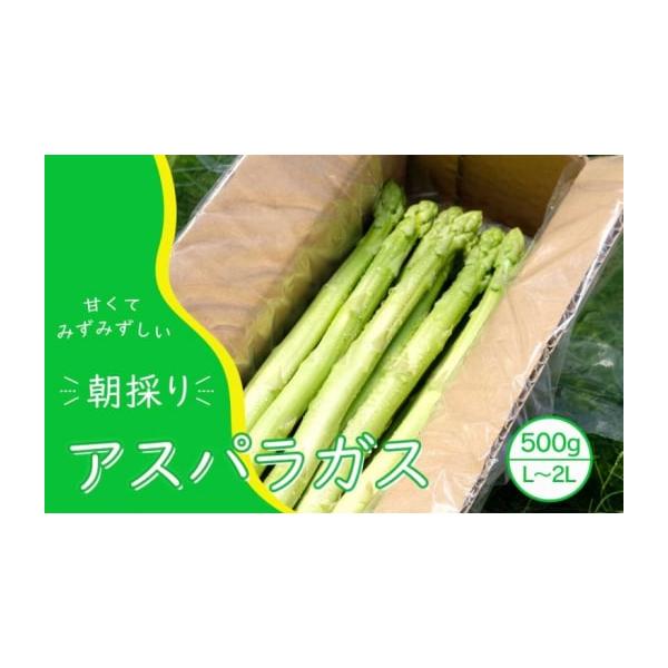 容量アスパラガス　500g（L、2Lサイズ混）消費期限冷蔵発送から3日発送期日2026年10月末まで配送冷蔵 別送申込期日2026年9月30日まで事業者永利農園株式会社申込条件何度も申し込み可