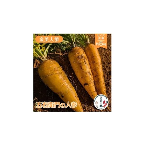 容量金美人参約5kg（SS〜LLサイズ混載　20本前後）消費期限到着後は、乾燥を防いで涼しい場所または冷蔵庫（野菜室）などで保管ください。発送期日寄附納入確認後、一ヶ月以内に発送します。※生産の都合で前後する場合があります。配送常温 時間指...