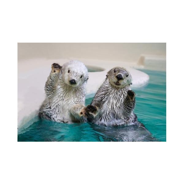 容量１，クーポンコードが届きます。２，下記URLより年間パスポートの作成にお進みください。　　 ｈｔｔｐｓ:／／webket.jp／pc／ticket／index?fc=00233&amp;ac=0205３，作成時にお客様情報をご登録が必要...