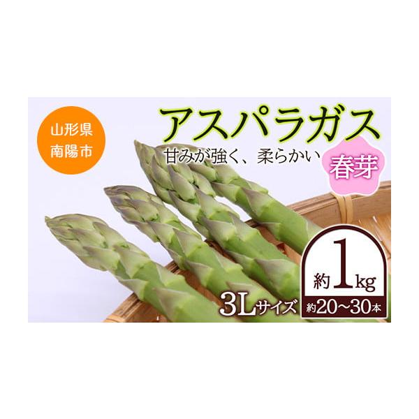 容量アスパラガス 約1kg3Lサイズ（約26cm、各40g以上） 約20〜30本前後消費期限賞味期限：到着後2日以内※消費期限の短いお品ですので、お受け取りにはご注意ください。発送期日令和8年5月〜6月頃に順次発送※天候により収穫時期が前後...