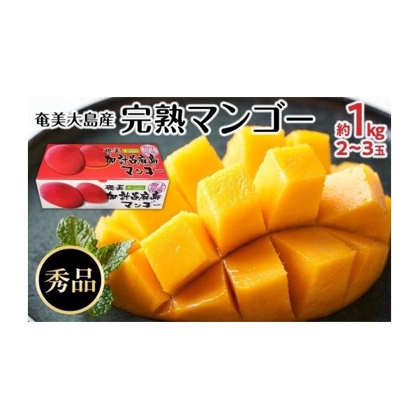 容量マンゴー1kg(2-3玉)　階級：Lサイズ(310g〜349g)〜4L(510g〜749g)等級：秀品※収穫内容により、等級及び階級が異なることがありますので、ご了承ください。発送期日2026年7月中旬〜8月中旬に順次発送（青果物の為、...